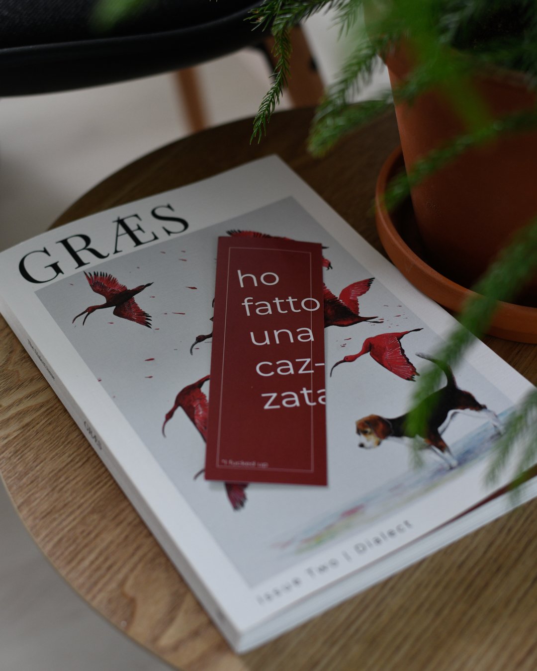 Græs n.2 - Frab's Magazines & More