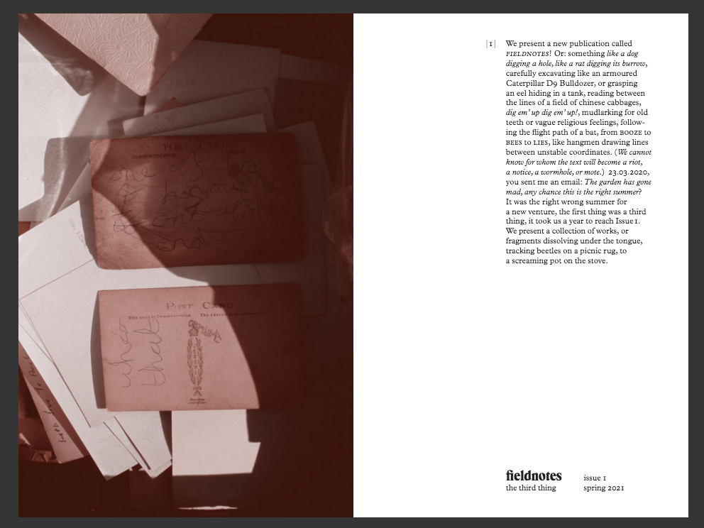 Fieldnotes