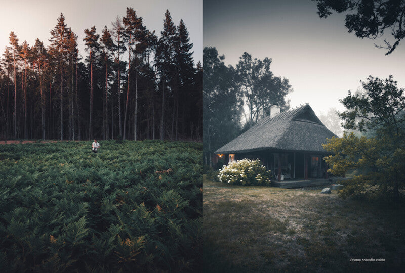 Northletters n.3