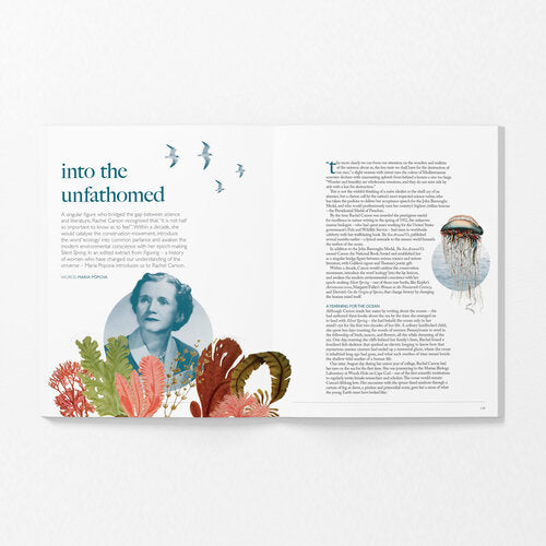 Ernest Journal