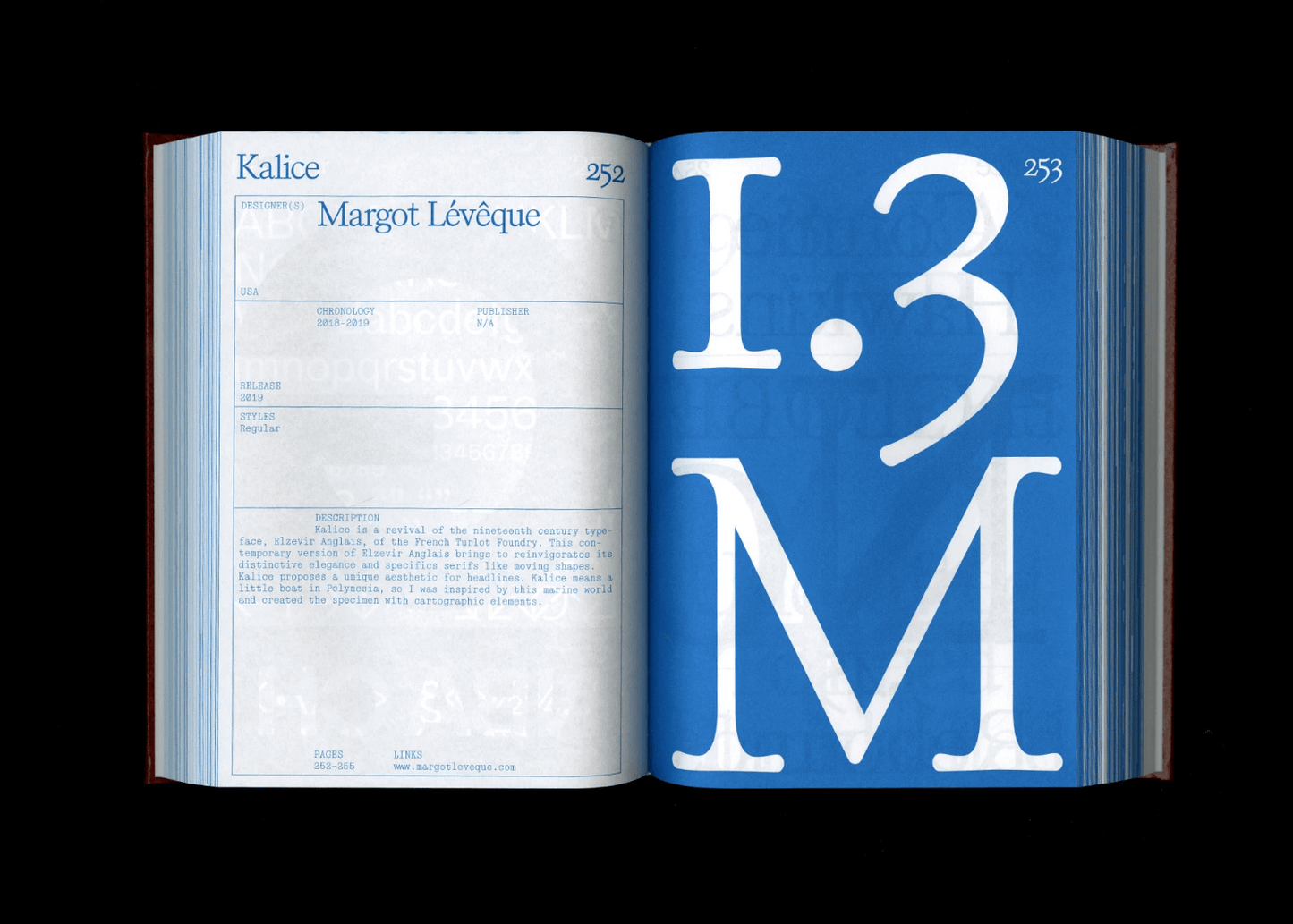 Shoplifters Issue 8: New Type Design (Revised and Expanded) - Frab's Magazines & More
