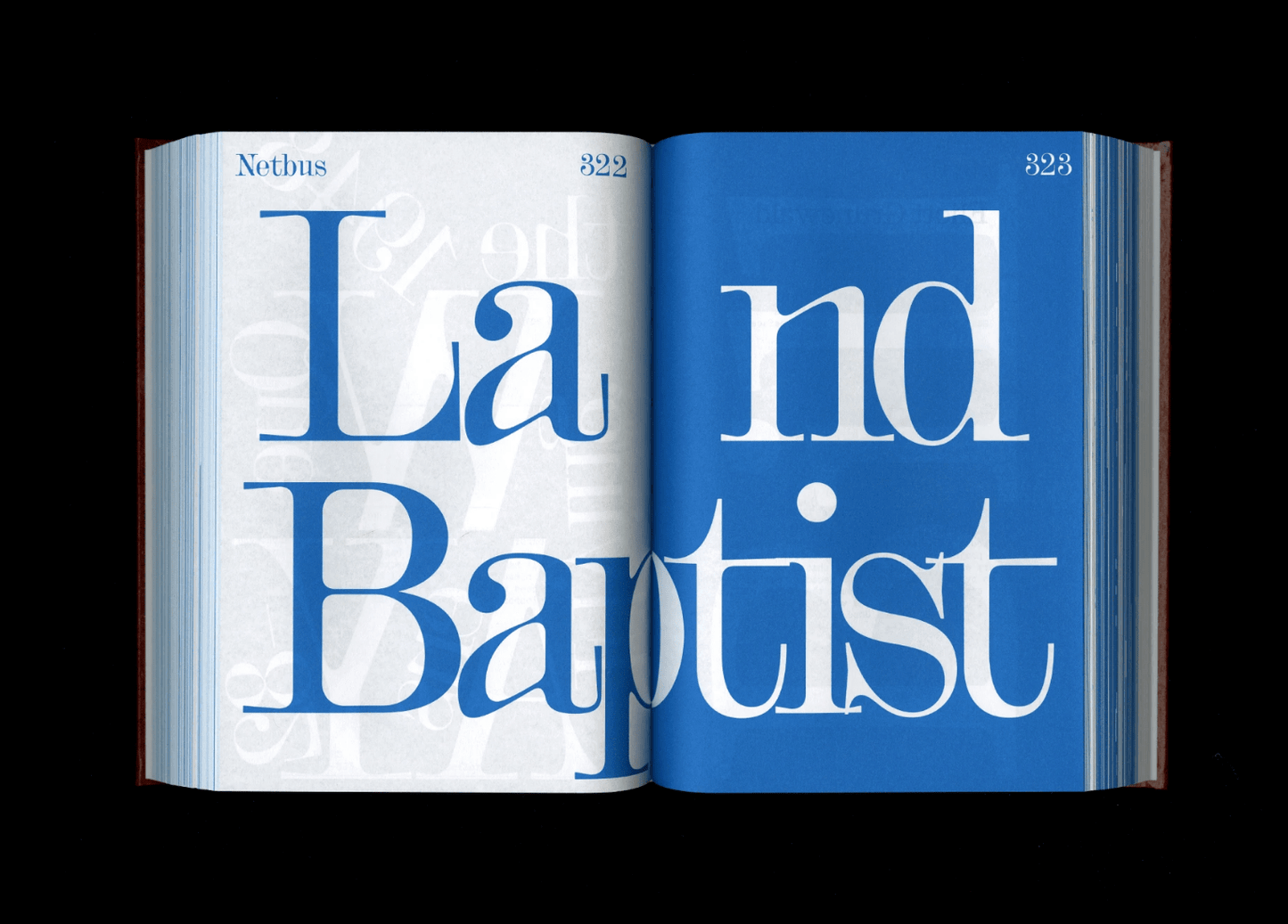 Shoplifters Issue 8: New Type Design (Revised and Expanded) - Frab's Magazines & More