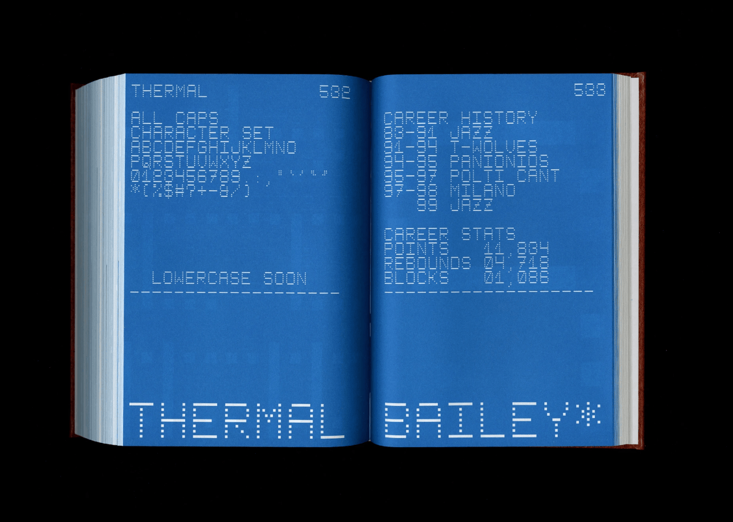Shoplifters Issue 8: New Type Design (Revised and Expanded) - Frab's Magazines & More