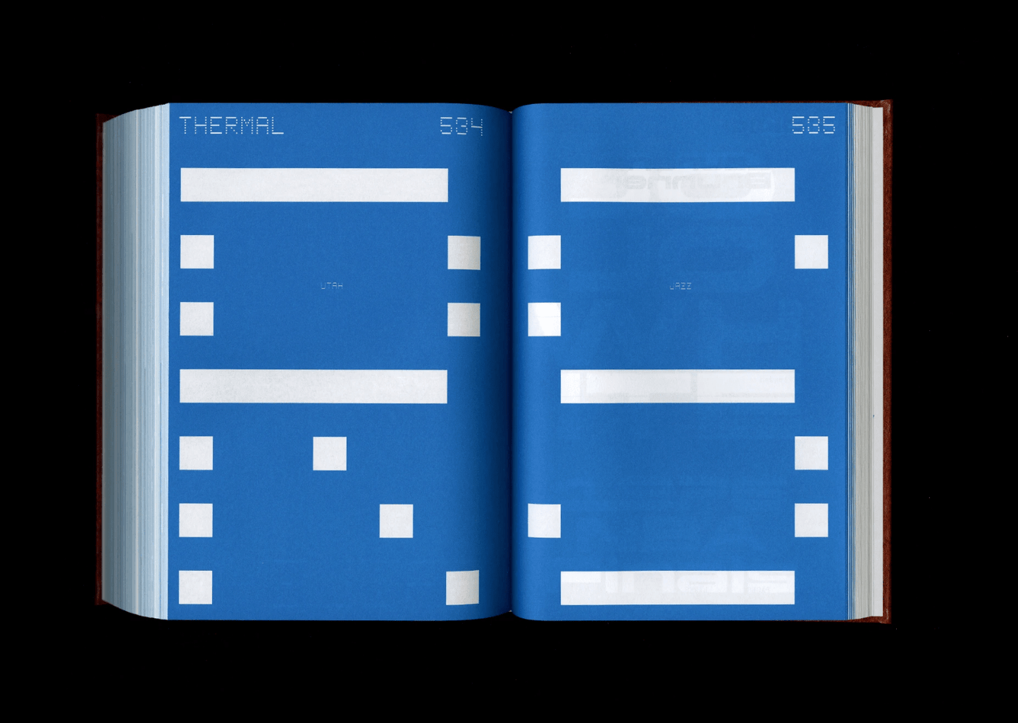 Shoplifters Issue 8: New Type Design (Revised and Expanded) - Frab's Magazines & More