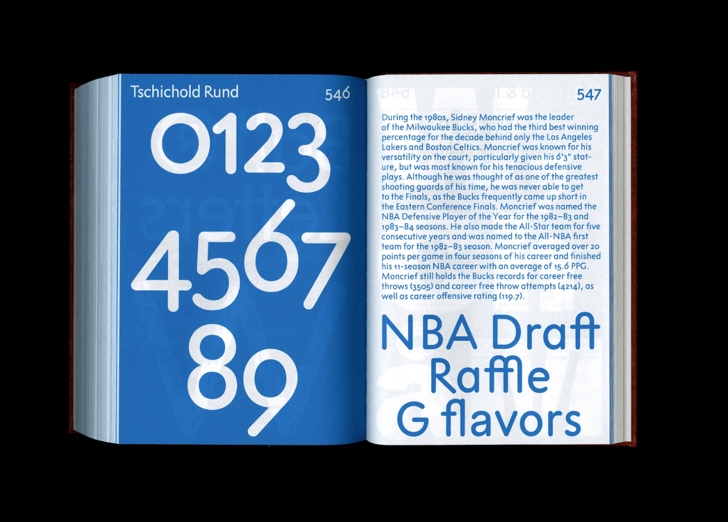 Shoplifters Issue 8: New Type Design (Revised and Expanded) - Frab's Magazines & More