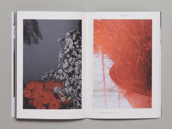 The Skirt Chronicles - Frab's Magazines & More