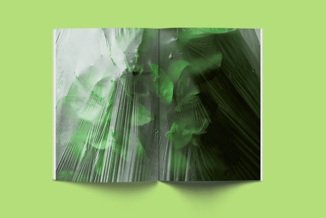 Sindroms magazine green