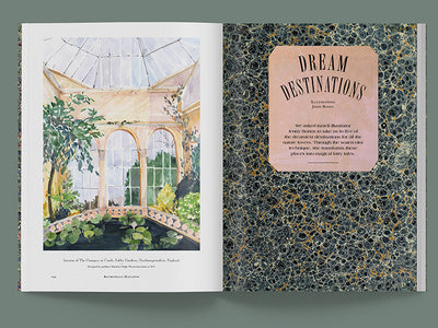 Blumenhaus n.1
