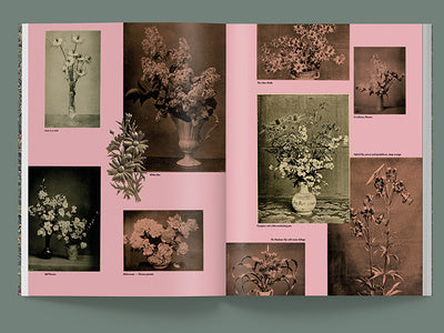 Blumenhaus n.1
