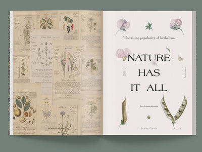 Blumenhaus n.1