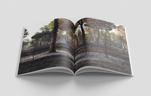 Over Journal