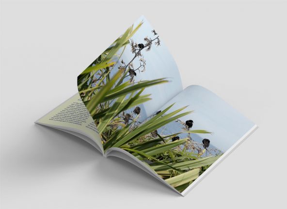 Over Journal