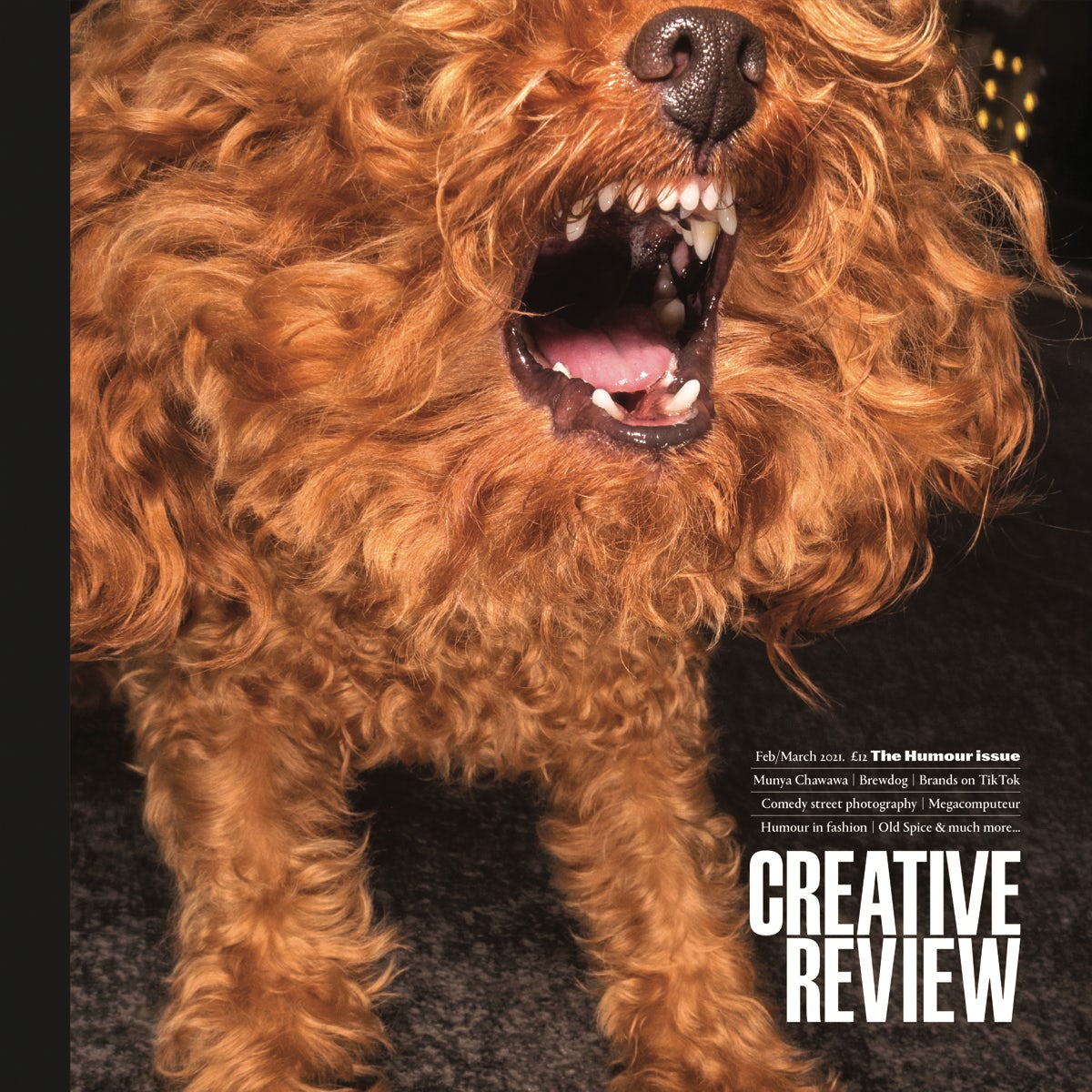 Creative Review n.1 vol. 41