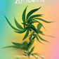 Broccoli magazine