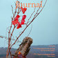 The Preserve Journal n.5