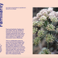 The Preserve Journal n.5